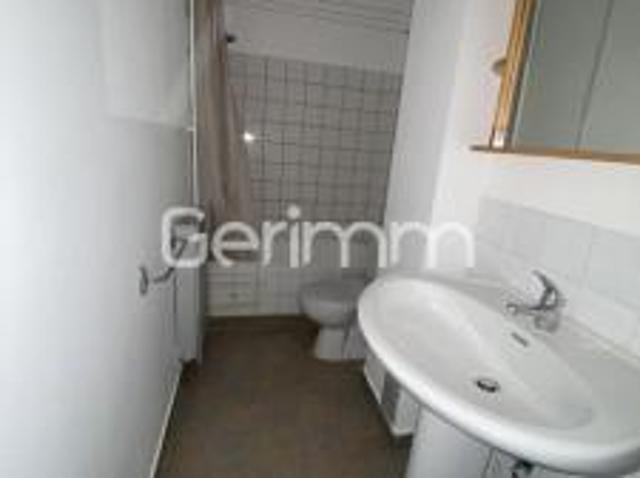location appartement sassenage 2 pièces 26 m2 isere 38360 490 € / mois