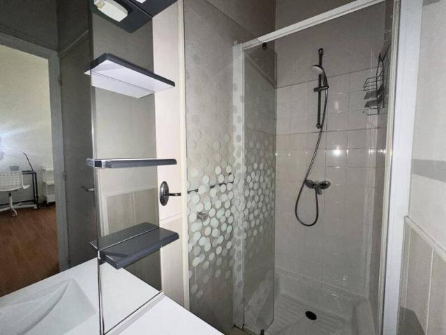 Location appartement studio 1 pièce 20 m² Grenoble 38000 448 €