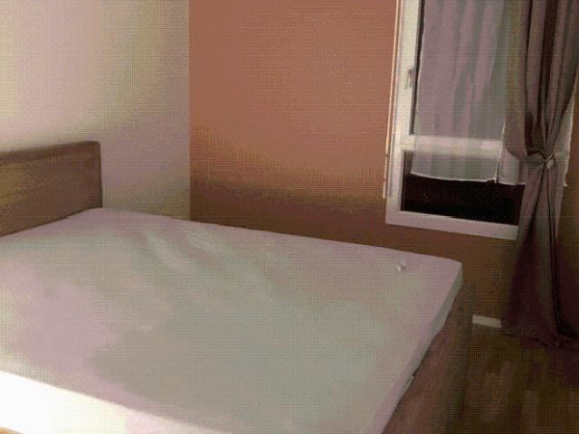 Location F3 Poissy Sablons