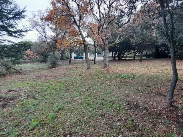 Location House Chemin de Bramefan, Fuveau