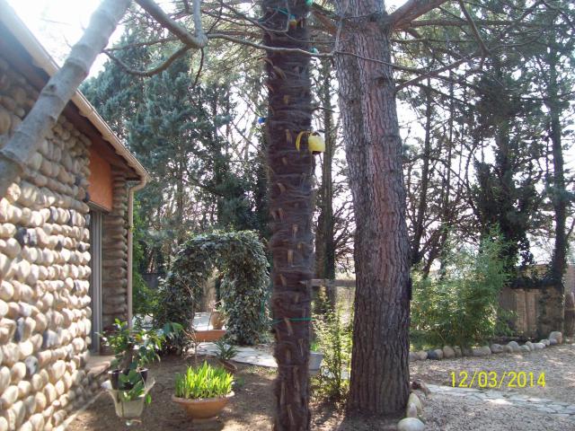 Location House Chemin de la Brûlade, Salavas