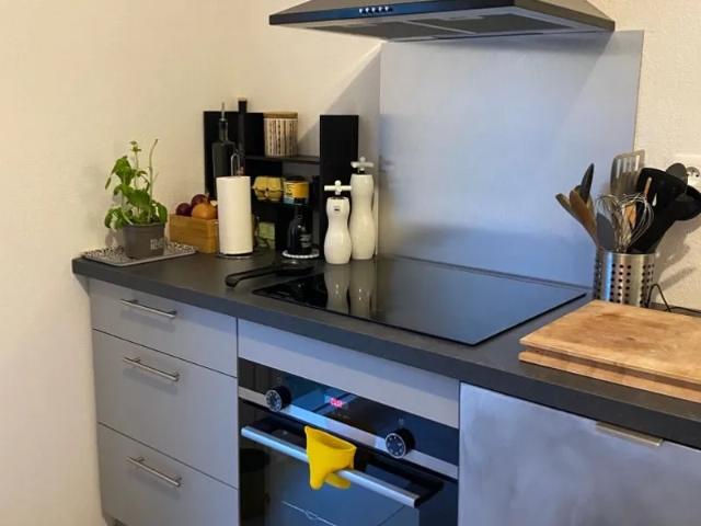 Location House Chemin de Pigassou, Rouffiac Tolosan