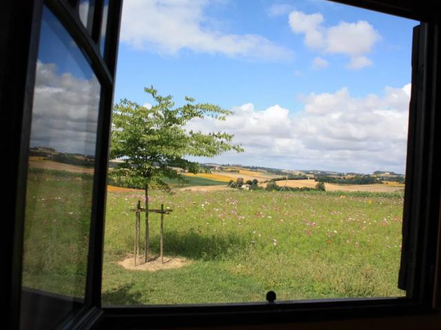 Location House Chemin du Clos du Pin, Pauilhac