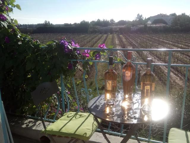 Location House Chemin du Pansard, La Londe les Maures