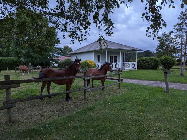 Location House D 3, Traves