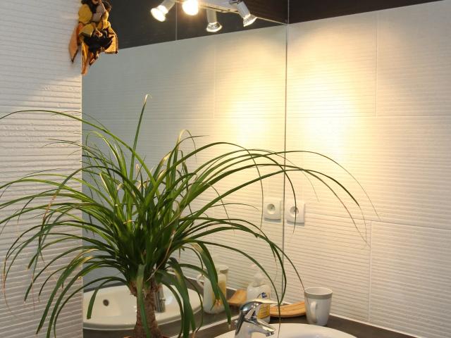 Location House En Jurue, Vezon