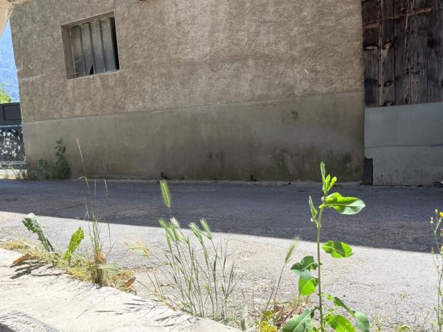 Location House Route de Pertuis, Cheval Blanc