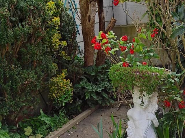 Location House Rue de Bellevue, Le Mans