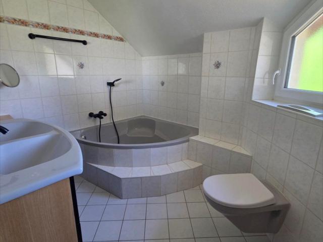 Location House Rue de France, Huningue