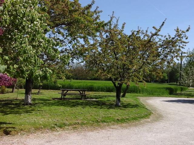 Location House Rue de La Poterie, Donnery
