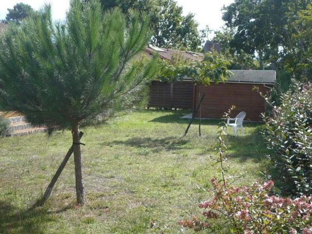 Location House Rue des Treilles, Libourne