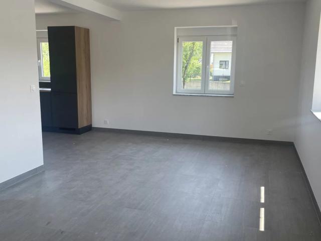 Location House Rue du Rhin, Blotzheim