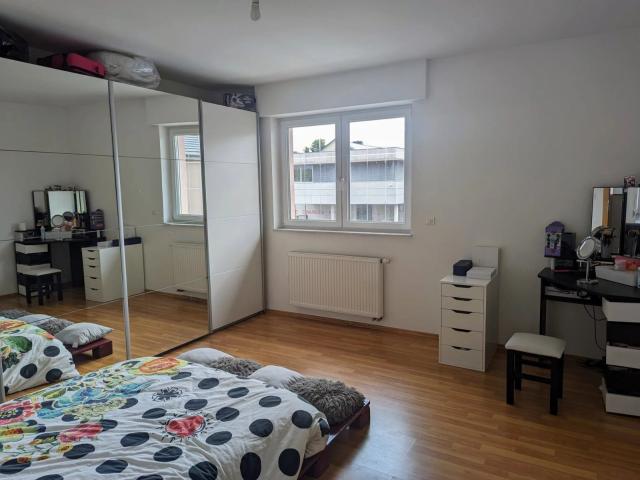 Location House Rue du Rhin, Blotzheim