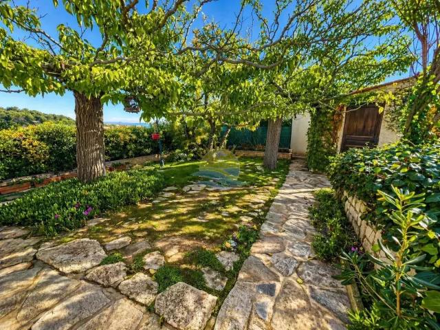Location House Rue Olivier Griscelli, Martigues