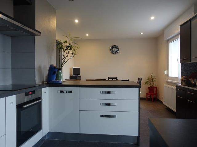Location House Rue Louis Pasteur, Reichshoffen