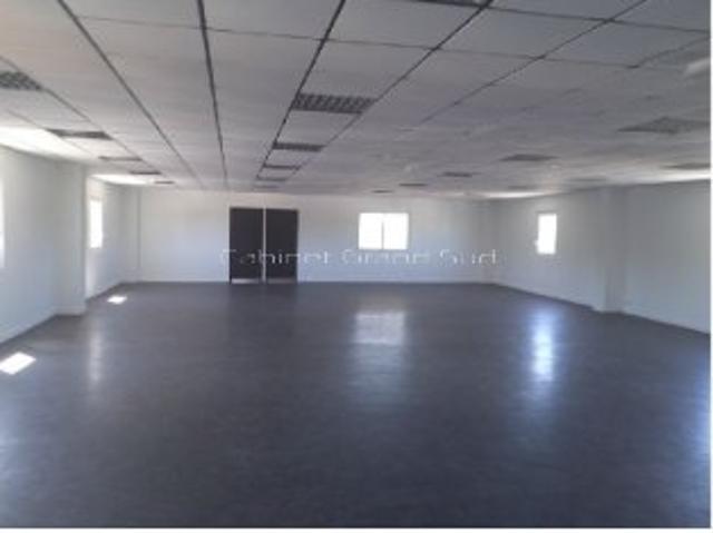 Location Local / Bureau de 290 m2 à Vendargues
