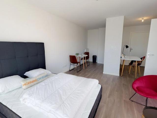 Location Loft 1 pièce 32 m2 Villeurbanne