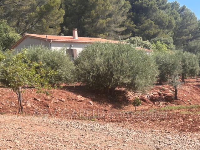 location maison 3 Pièce s