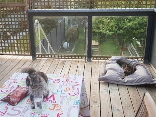 Location Maison 3 pièces 90 m2 Saint André lez Lille