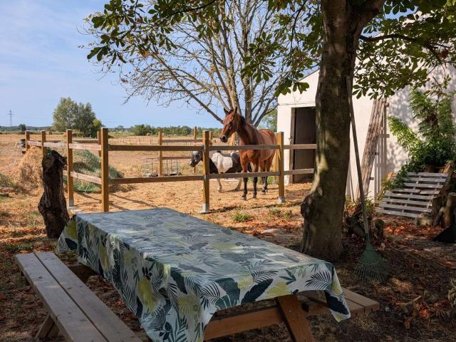 Location maison 3 pièces Saint Jean De Monts Périphérie 85