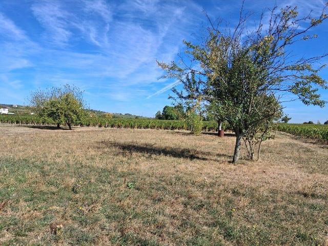 Location Maison 149 m² à Crêches sur Saône 1 050 ¤ CC /mois