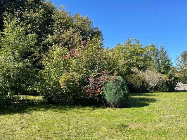 Location maison, 172 m² T 4 à Bonnac la Côte, 950 €
