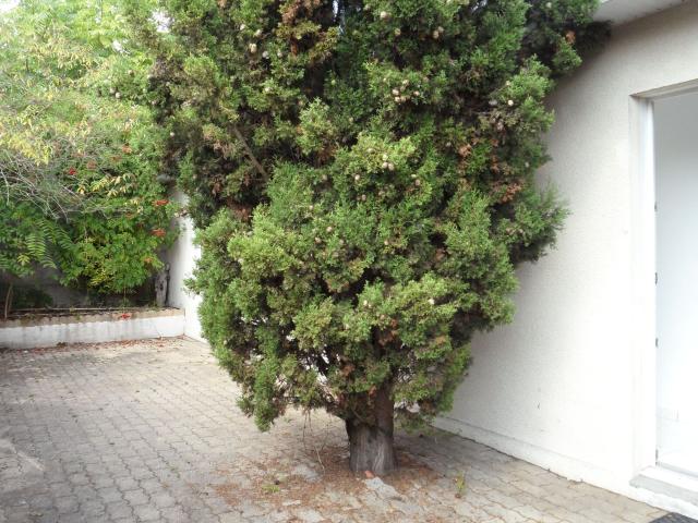Location maison, 32 m² T 2 à Pessac, 560 €