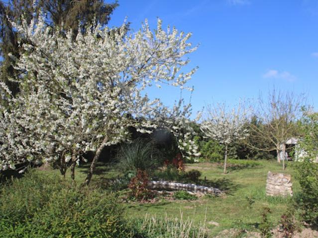 Location Maison 4 pièces 100 m2 Chenoise