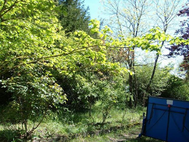 Location Maison 4 pièces 80 m2 Saint Yrieix sur Charente