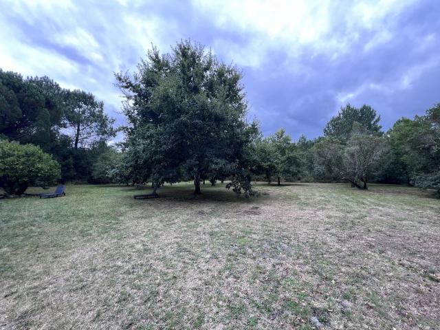Location Maison 5 pièces 150 m2 à Carcans