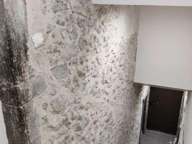 Location maison 5 pièces Saint Martin le Vinoux 38