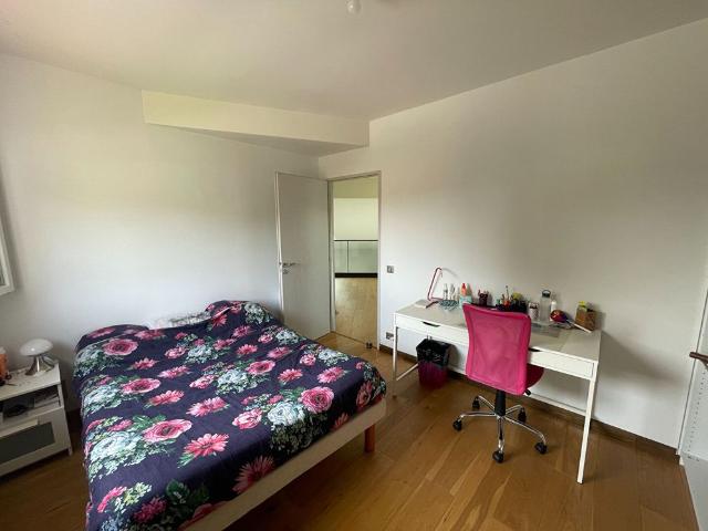 Location maison 6 pièces, 151.00m², Fonsorbes