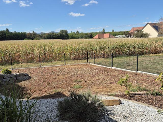 Location Maison 6 pièces 178 m2 Logelheim