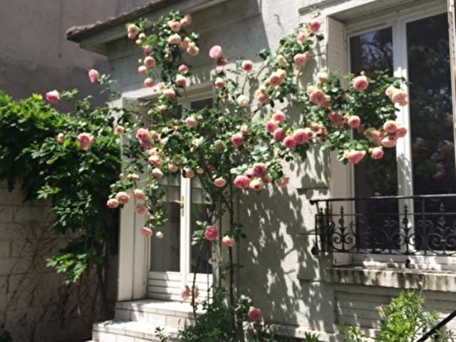 Location MAISON 6 PIECES 17 RUE ALBERT LEGRAND ARCUEIL 6 pièces