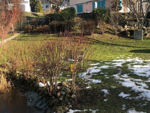 Location Maison 6 pièces CHF 3'800. /mois | immobilier.ch