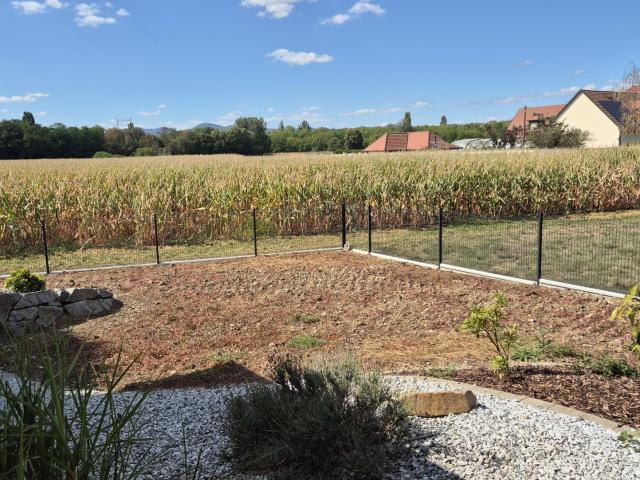 location Maison 6 pièces à Logelheim REF 386 26 RS
