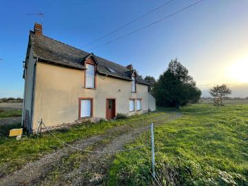 35650, Le Rheu, Ille-et-Vilaine - Jardin