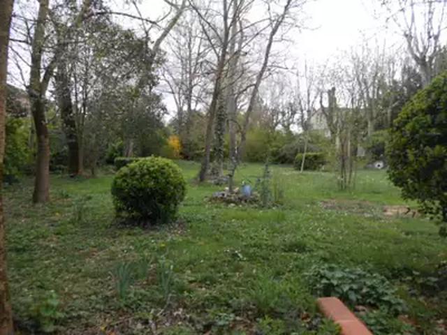 location maison, 79.5 m² terrasse