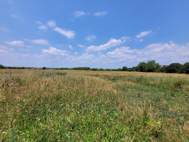 Location Maison 8 pièces 193m² SABLE SUR SARTHE 72300