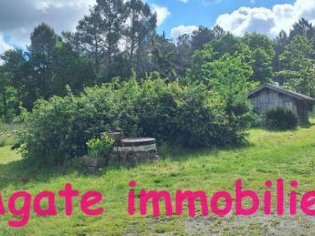 location maison captieux 154 m2 gironde 33840 860 € / mois