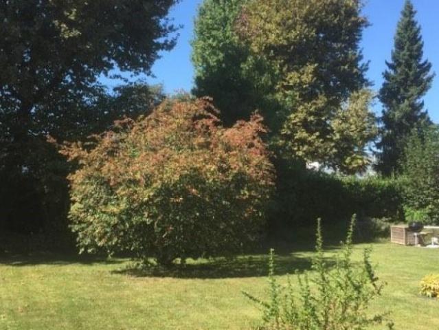 Location maison à IDRON 64320