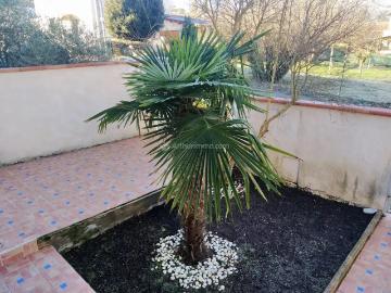 Location Maison de ville 5 pièces 89 m2 à Carmaux