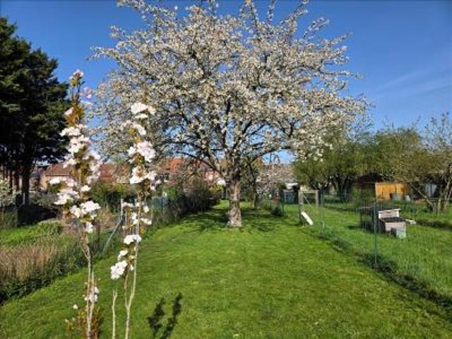 location maison henin beaumont 5 pièces 160 m2 pas de calais 62110 1060 € / mois