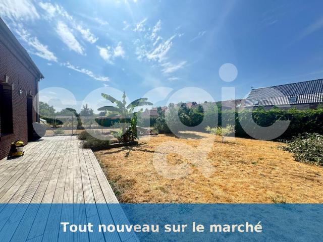 location maison individuelle 100 m² goeulzin 59169