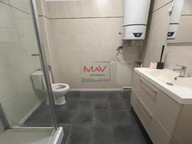 location maison lille 2 pièces 41 m2 nord 59000 645 € / mois