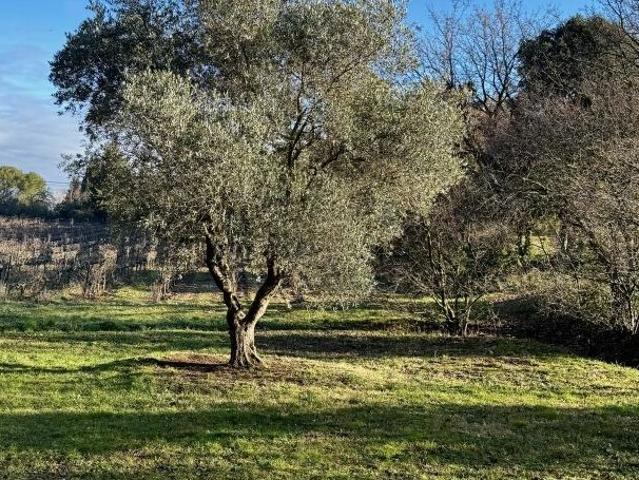 Location Maison Venelles