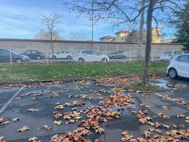 location parking / box toulouse 31300haute garonne