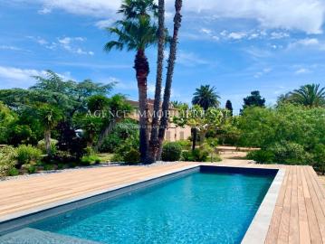 83990, Saint-Tropez, Var, Provence-Alpes-Côte dAzur