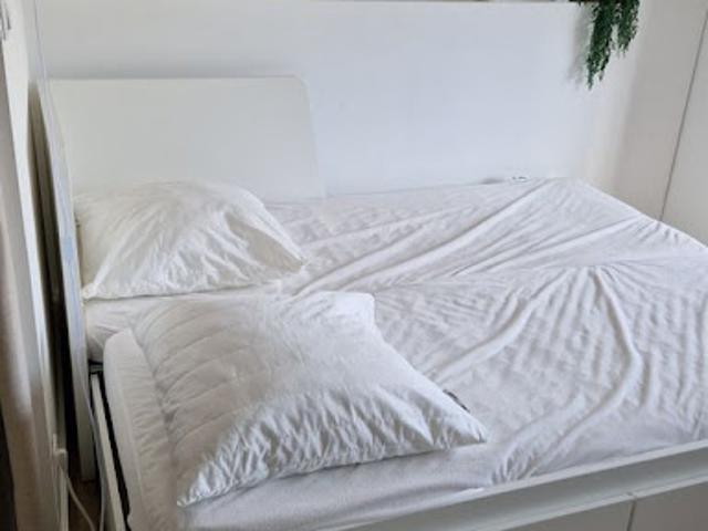 Location Studio 1 pièce 21 m2 Saint Cyprien