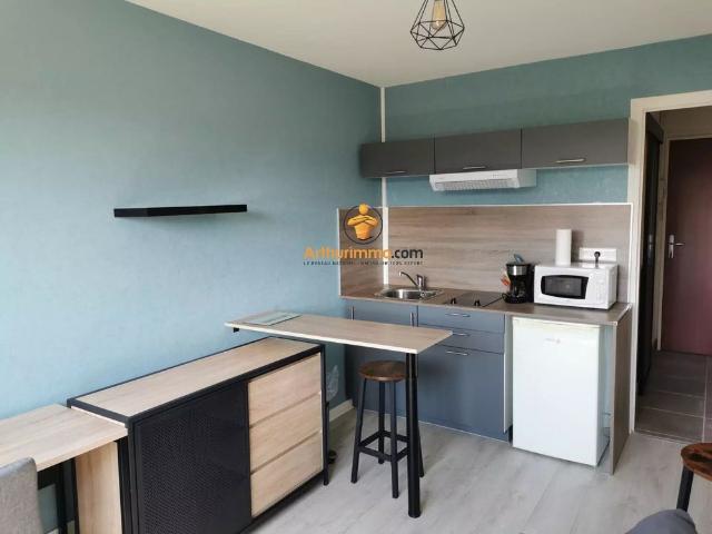 Location Studio 1 pièces 17 m2 à Pau